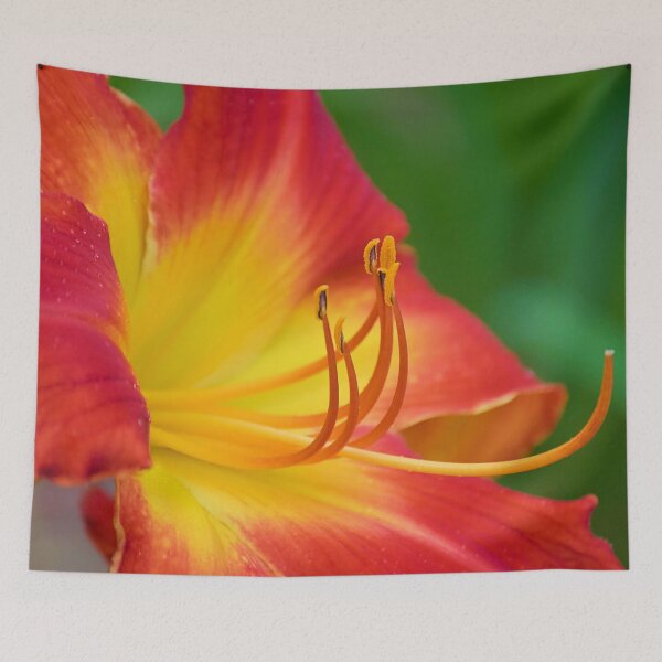 Item preview, Ruby Spider Day Lily designed and sold by What I See by Dawne.