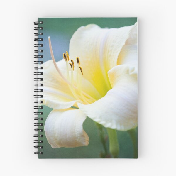 Item preview, Reina del jardin designed and sold by Photo Art By Anita.