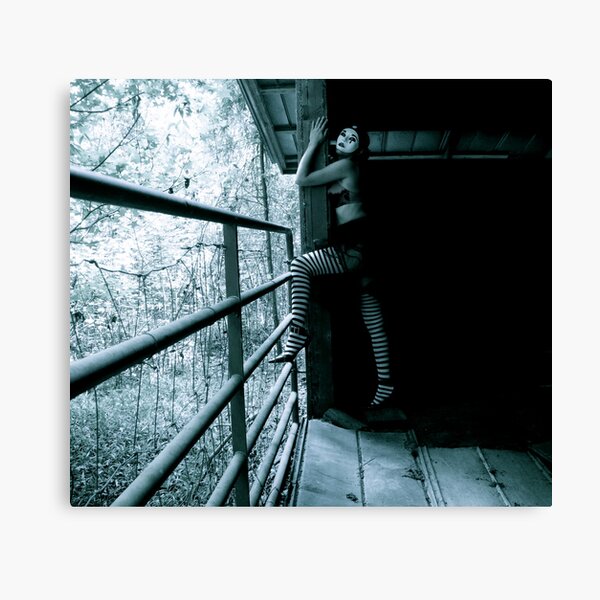 Escape Canvas Print