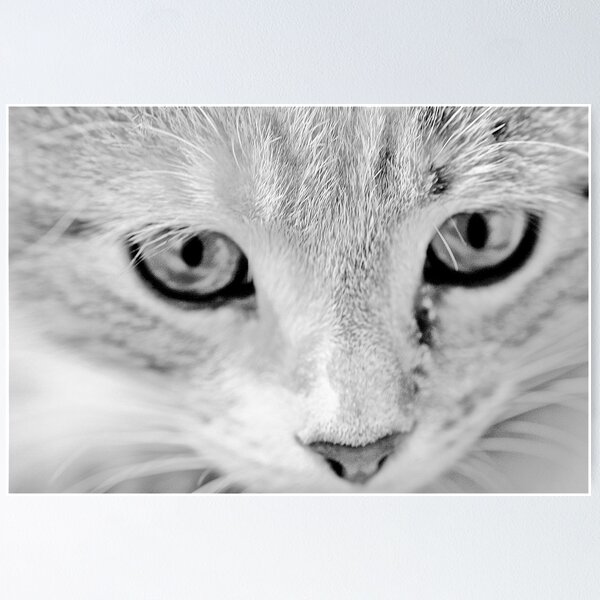 Item preview, WhiteCat designed and sold by Tenee Attoh.