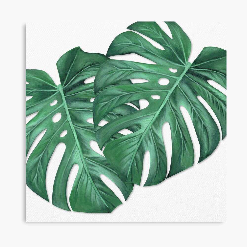 Monstera Leaf Painting