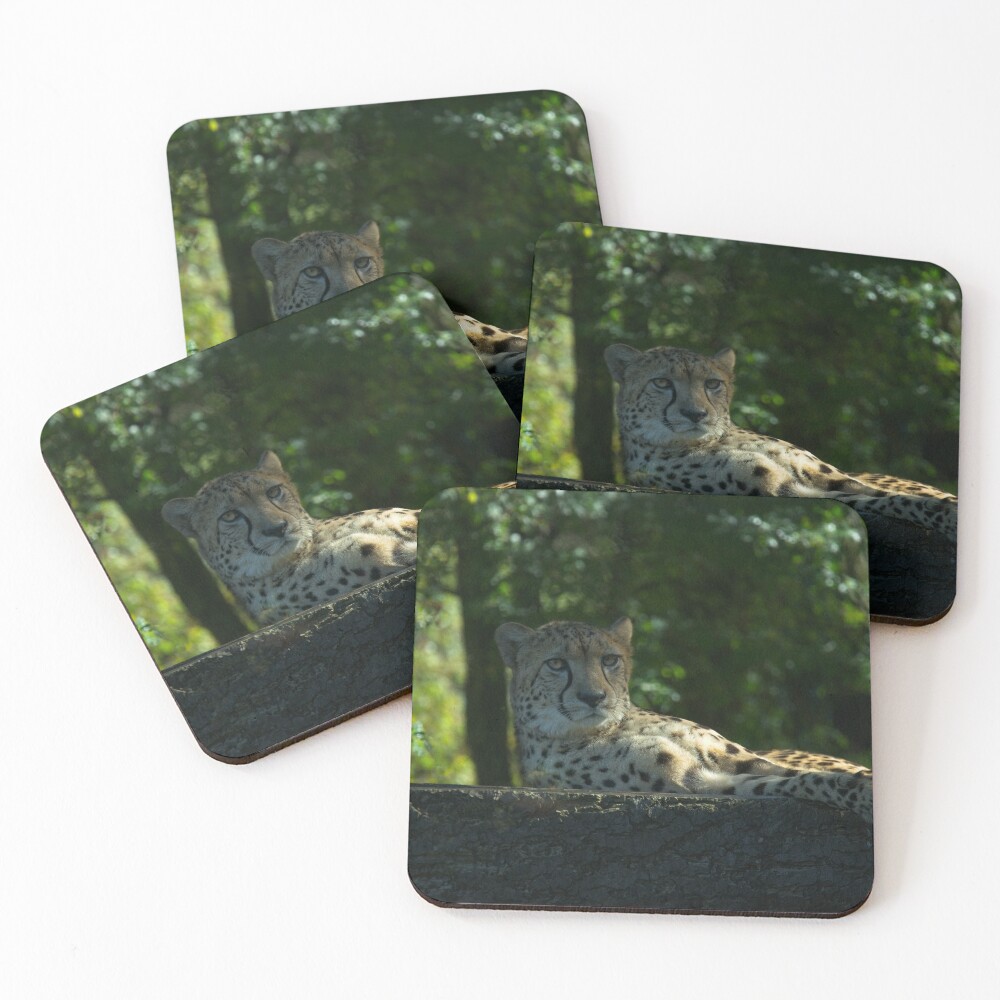 Item preview, Coasters (Set of 4) designed and sold by rawshutterbug.