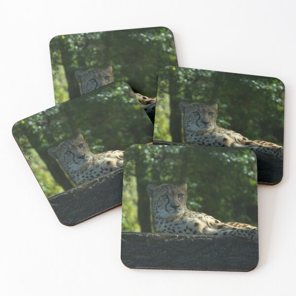 Item preview, Resting Cheetah designed and sold by rawshutterbug.