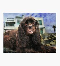 Gracie Photographic Print