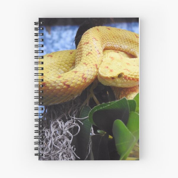 Item preview, Eyelash Viper designed and sold by kirstybush.