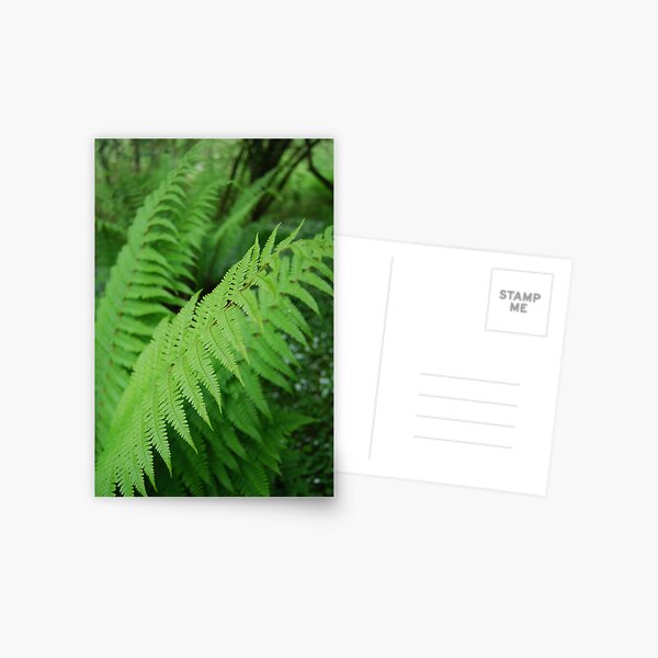 Item preview, Glenashdale, Isle of Arran  designed and sold by thebigidea photography.