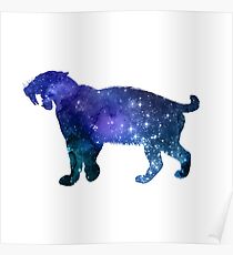 Saber toothed cat Poster