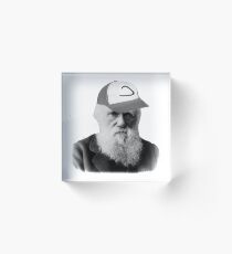 Darwin Pokemon Acrylic Block