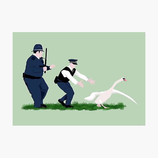 Swan cops Photographic Print