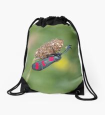 Six Spot Burnet Moth Drawstring Bag