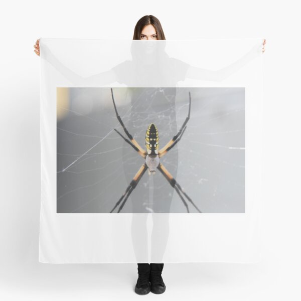 Foulards Sur Le Theme Araign C3 e Orbe Redbubble