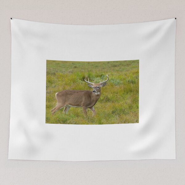 Item preview, White-tailed deer designed and sold by James Cumming.