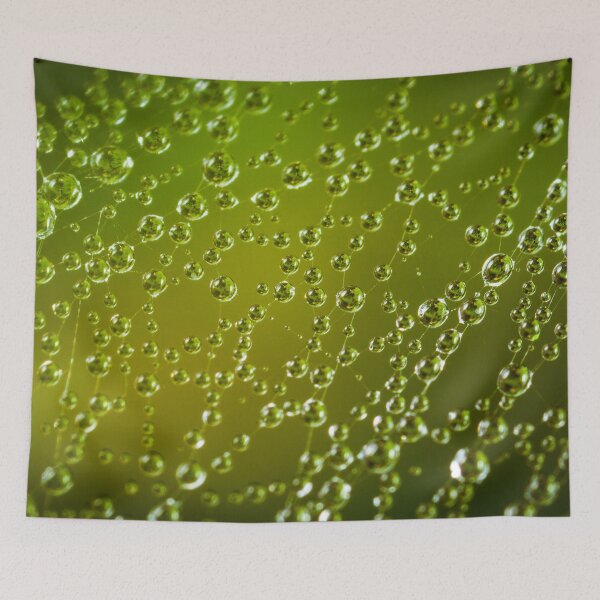 Item preview, Dew Drop Web designed and sold by pinkarmy25.