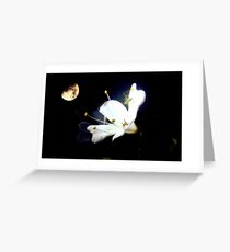 moonflower Greeting Card