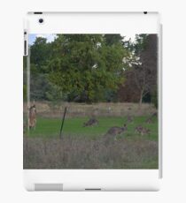Kangaroos iPad Case/Skin