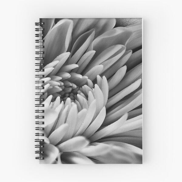 Item preview, Dahlia in black and white designed and sold by Eunice Gibb.