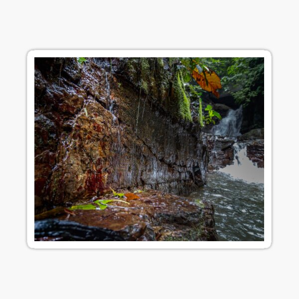 Catarata Ananda (Ananda Waterfall) Sticker