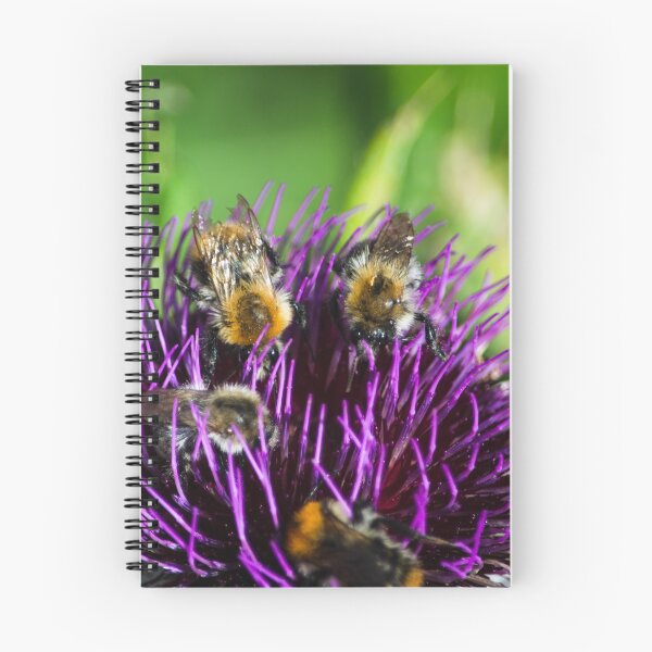 Artikelvorschau, Honigbienen auf Blumen entworfen und verkauft von Sunil Bhardwaj.