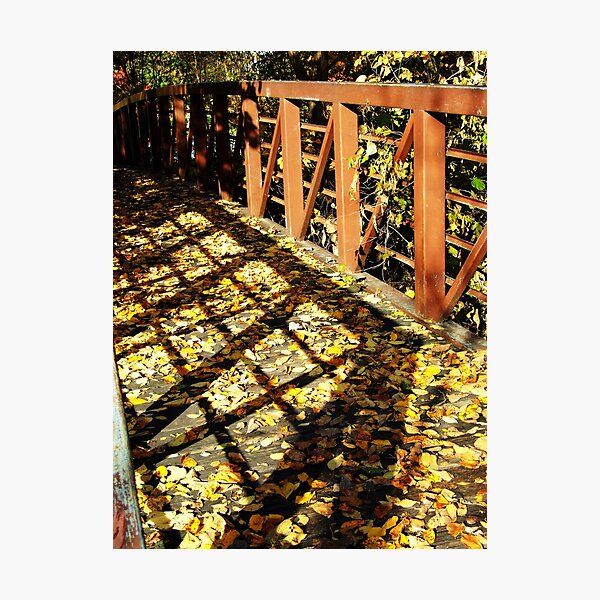Guide Photographic Print