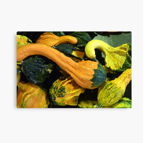 Item preview, Gourds for the Season designed and sold by webster7.