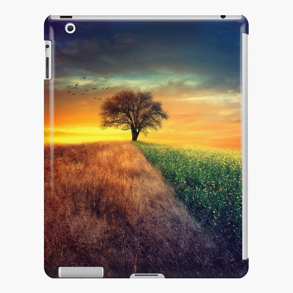 I wonder iPad Case & Skin