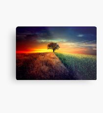 I wonder Metal Print