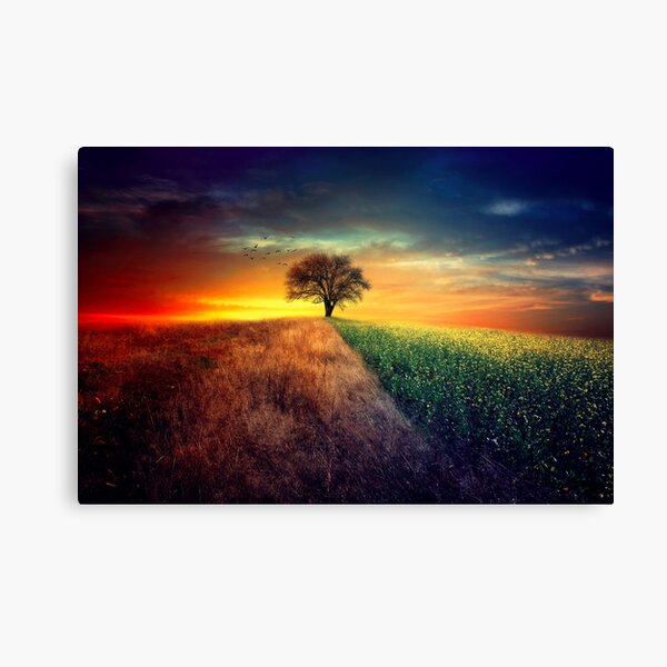 I wonder Canvas Print