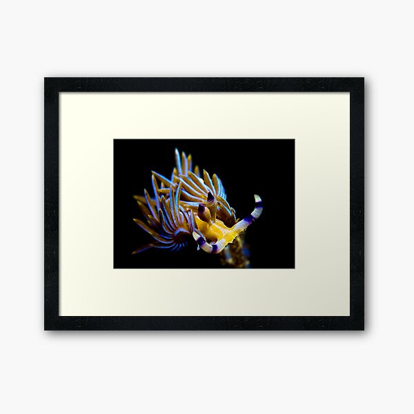 Item preview, Blue Dragon designed and sold by daveharasti.