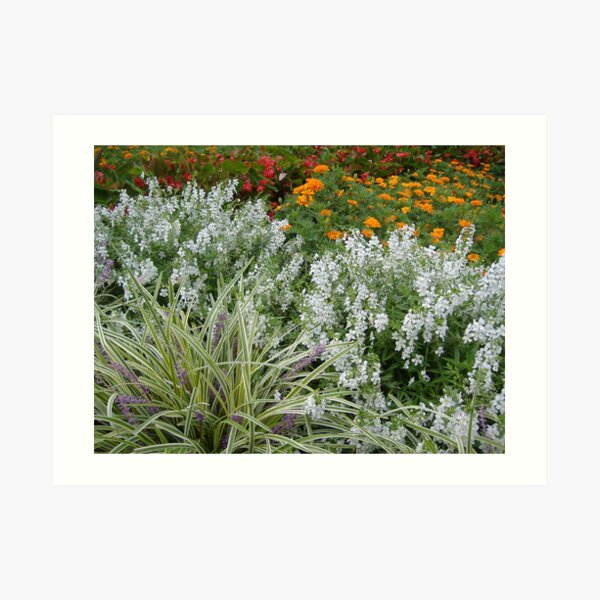 THE GARDEN Art Print