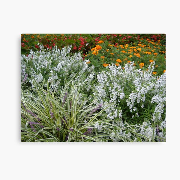 THE GARDEN Canvas Print
