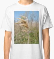 #Nature #field #grass #wheat #outdoors #agriculture #pasture #farm #summer #straw #crop #landscape #corn #vertical #colorimage #ruralscene #nopeople #cerealplant #nonurbanscene #day #phragmites Classic T-Shirt