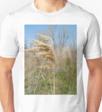 #Nature #field #grass #wheat #outdoors #agriculture #pasture #farm #summer #straw #crop #landscape #corn #vertical #colorimage #ruralscene #nopeople #cerealplant #nonurbanscene #day #phragmites Unisex T-Shirt