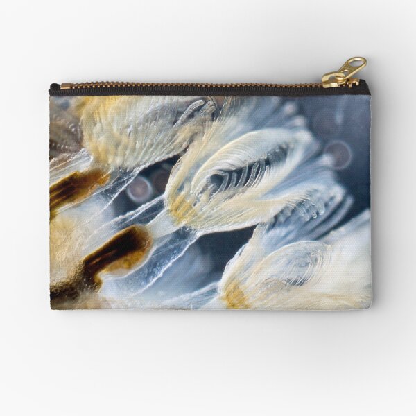 Bryozoa Zipper Pouch