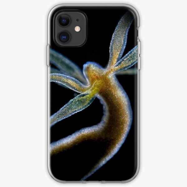 Hydra iPhone Soft Case