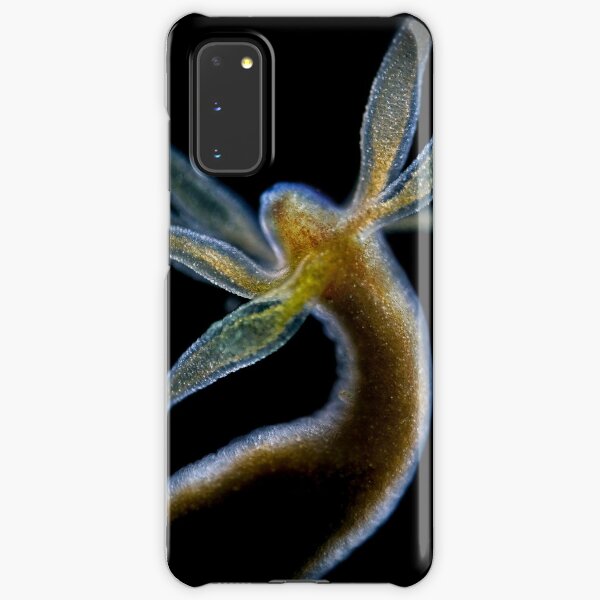 Hydra Samsung Galaxy Snap Case