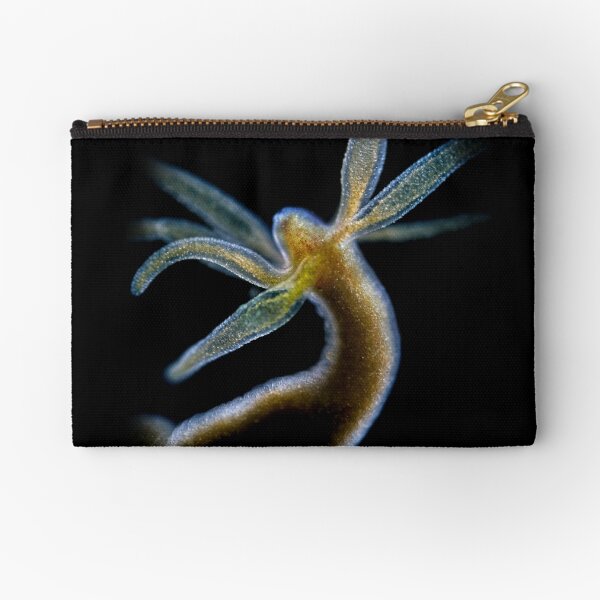 Hydra Zipper Pouch