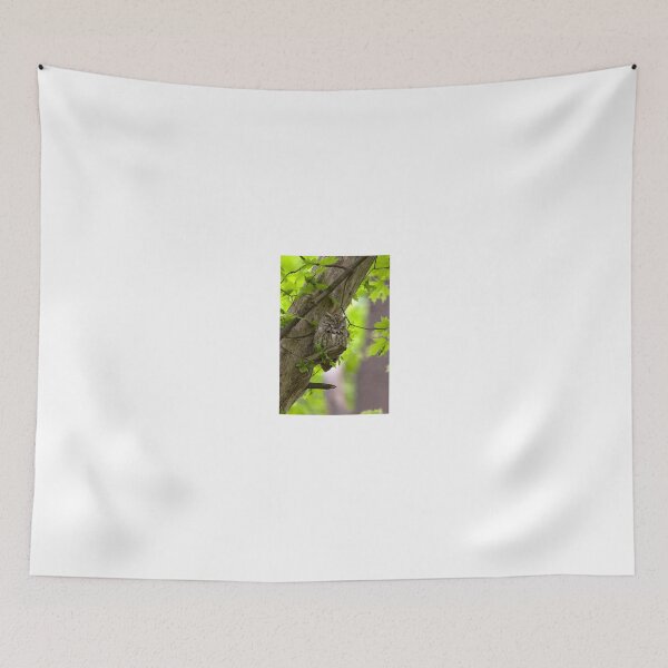 Item preview, Eastern Screech Owl designed and sold by Eunice Gibb.