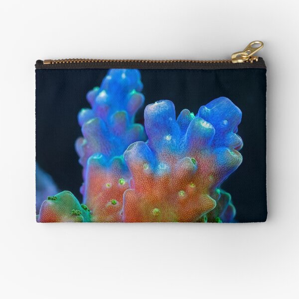 Acropora Zipper Pouch
