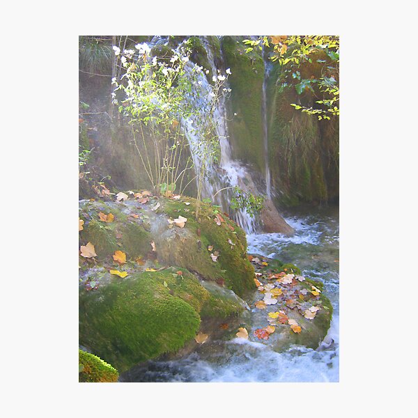 MISTY WATERFALL Photographic Print