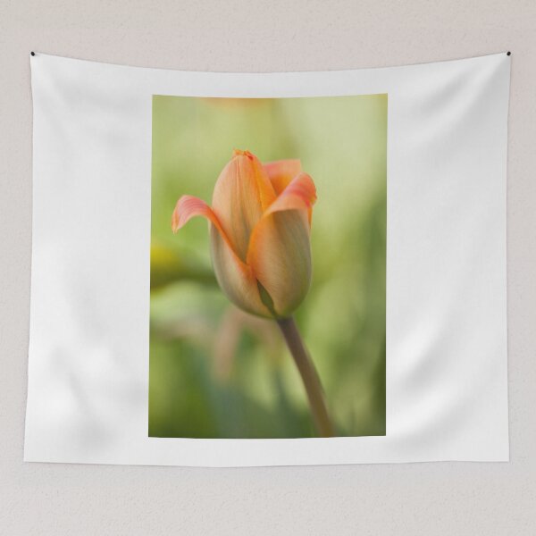 Item preview, Tulip designed and sold by Eunice Gibb.