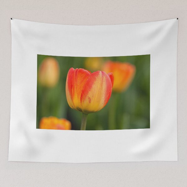 Item preview, Spring designed and sold by Eunice Gibb.