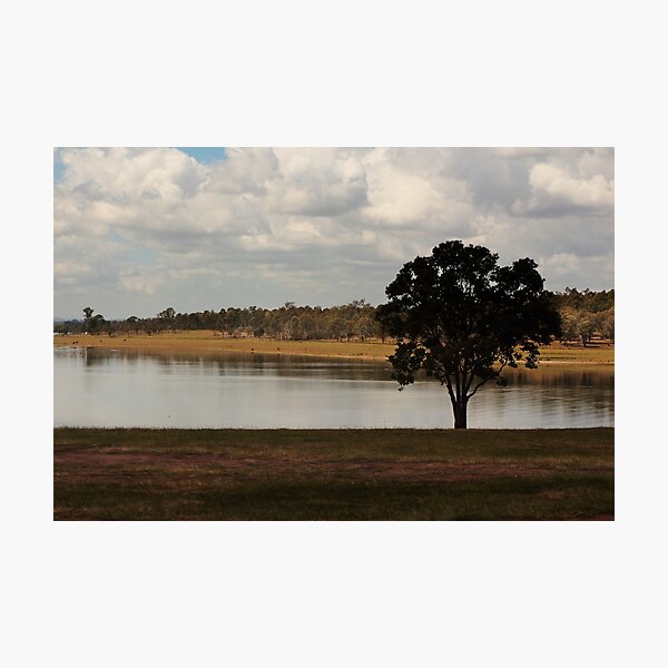 Lone tree at Joh Bjelke-Petersen Dam Photographic Print