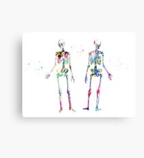 Human Body Skeleton Canvas Print