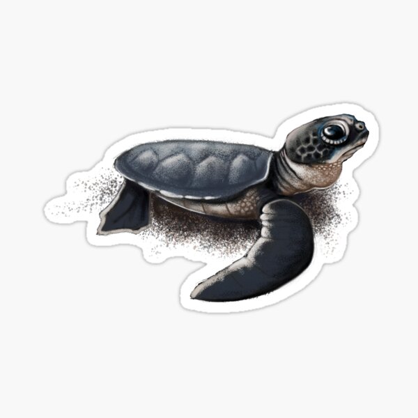Hawksbill Turtle Sticker