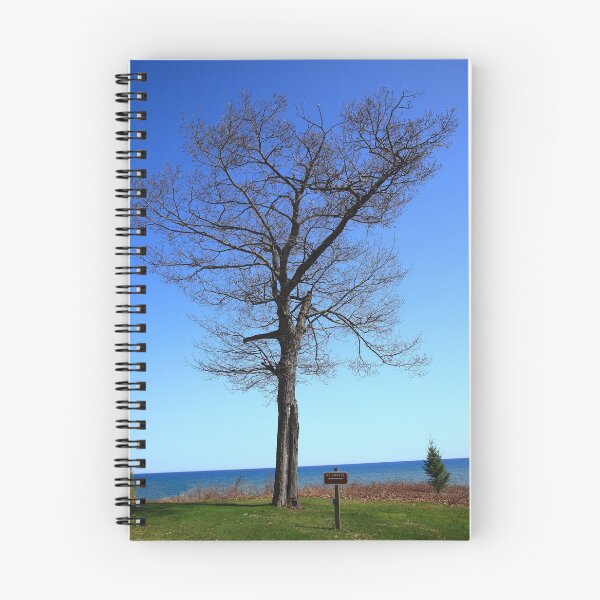 Item preview, Tree and Great Lake designed and sold by Frank Romeo.