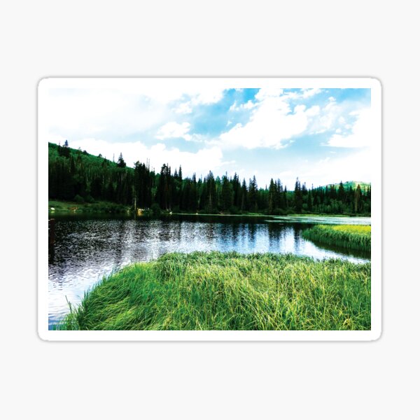 Forest Freedom by Jerald Simon (Music Motivation - musicmotivation.com) Sticker