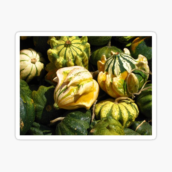 Item preview, Fall Gourds designed and sold by RYBHOWE.