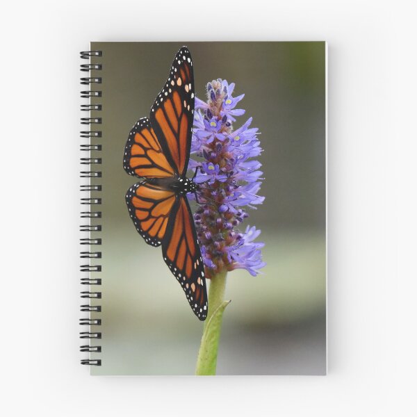 Item preview, Monarch Butterfly on Pickerel Weed designed and sold by David3209.