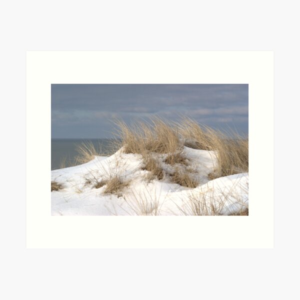 winter dunes Art Print
