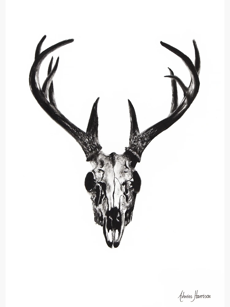 stylized Deer Skull sketch hand drawn original illustration. design for  clothing print, postcards, cards, cover, tattoo design bohemian boho  outline style. isolated on white background Stock Vector | Adobe Stock
